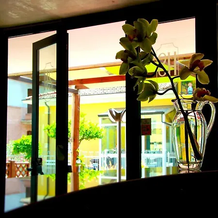 Sonne 酒店 里米尼